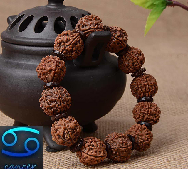 文玩中12生肖佩戴什么手串 (不同星座适合的文玩)