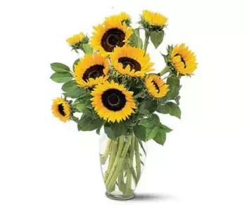 不白的防晒推荐,水密码防晒推荐