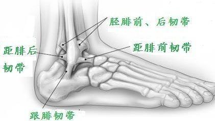 踝部扭伤正确的处理方法,踝关节扭伤应该如何正确处理