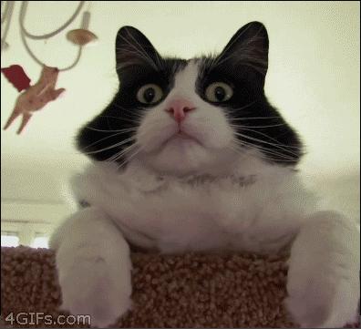 几月份去新疆飞机票最便宜,6月份哪里进疆机票优惠