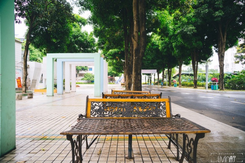 南宁青少年宫老照片,南宁市西乡塘区少年宫