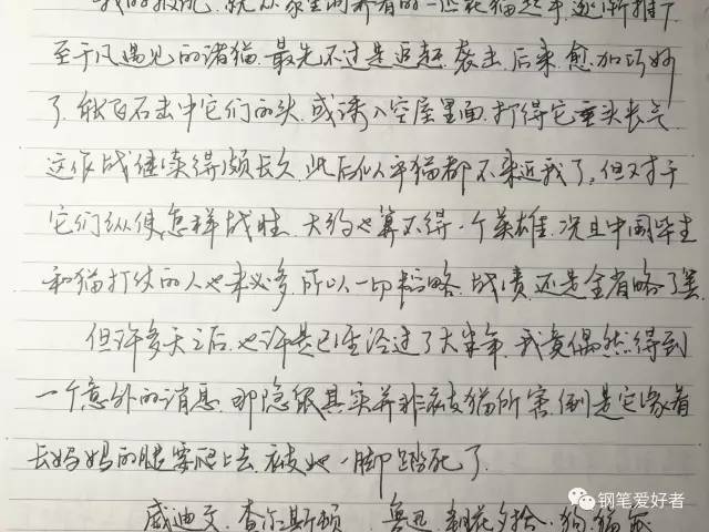 测评金尖钢笔,威迪文waterman钢笔