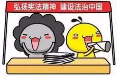 肇庆西江第一鸡,肇庆西江小黄鸭