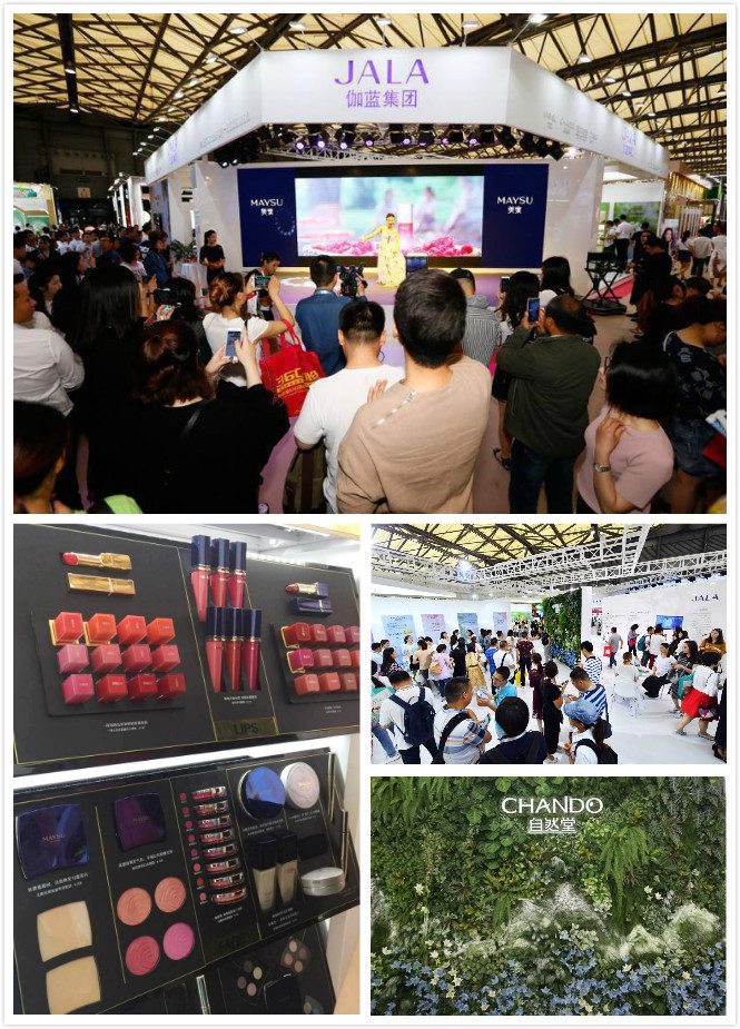 我拍了3000张照片，选出了CBE的各路担当