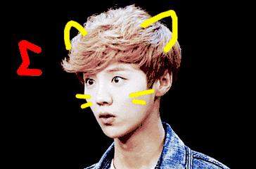 鹿晗回应被说娘,鹿晗对于别人说他娘的回应