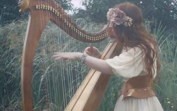 关于新手怎么练竖琴,想学竖琴的五大禁忌