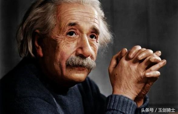 世界上最厉害的动物平头哥,平头哥盘点十大速度最快的动物