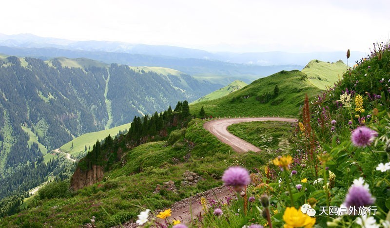 几月份去新疆飞机票最便宜,6月份哪里进疆机票优惠