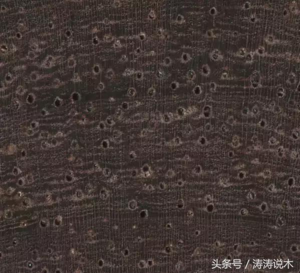 美洲马达加斯加红酸枝木材简介,东非红酸枝木材