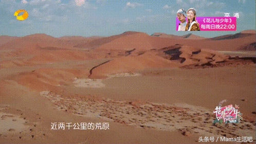 陈柏霖斑马外套同款,陈柏霖同款鞋子