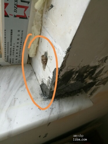 装修中的碎碎念,装修碎碎念技巧