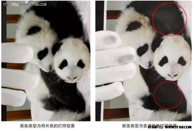 到手的照片怎么防褪色,干货分享如何拍出好看的照片