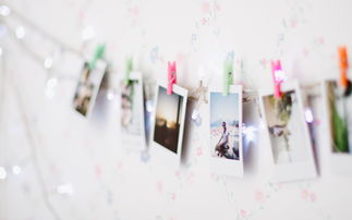 文学经典语录英语原句,一些经典英语句子摘抄