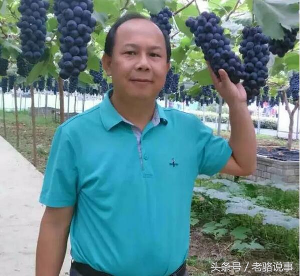 骆氏宗亲联谊会总会长,骆氏宗亲联谊会