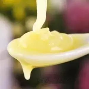 养生滋补之蜂产品 (日本养生滋补之蜂产品)