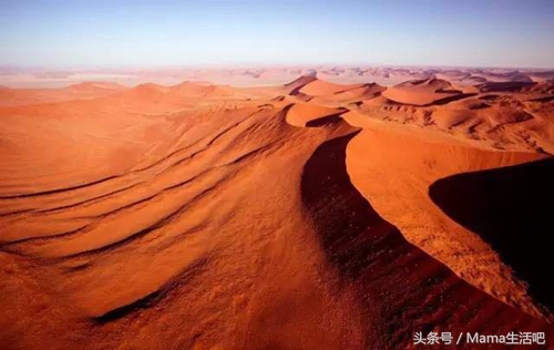 陈柏霖斑马外套同款,陈柏霖同款鞋子