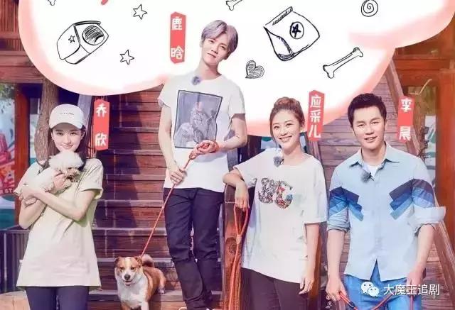 关关乔欣现实版曲筱绡,曲筱绡关关