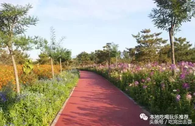 北京门头沟天门山国家森林公园,北京西山国家森林公园游玩攻略