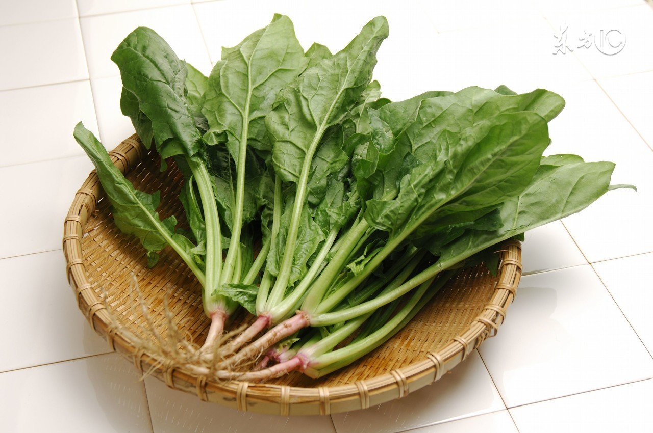 改善视力的食物有哪些,吃什么食物对眼睛视力好