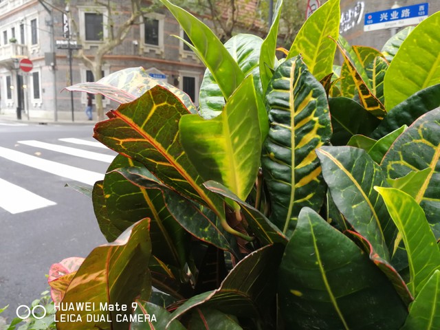 假期出游必备手机,端午手机游