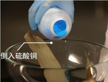 端午节粽子辟谣,粽子叶怎样的才没毒