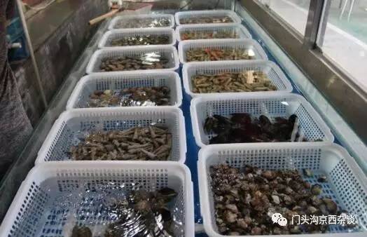 哈啤大排档,哈啤酒大排档