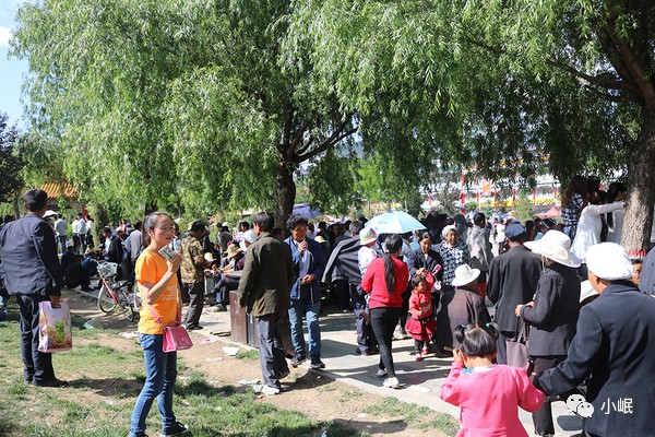 原创|岷县人的端午从一拨子杨柳开始!