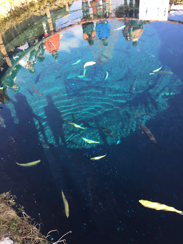 日本的冬日暖阳,日本的冰雪世界