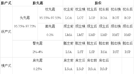 正常胎位是什么胎位,胎位大全
