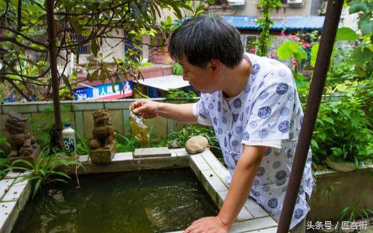 叶中有画画中有叶沉寂了千年的叶脉画岂止是鬼斧神工