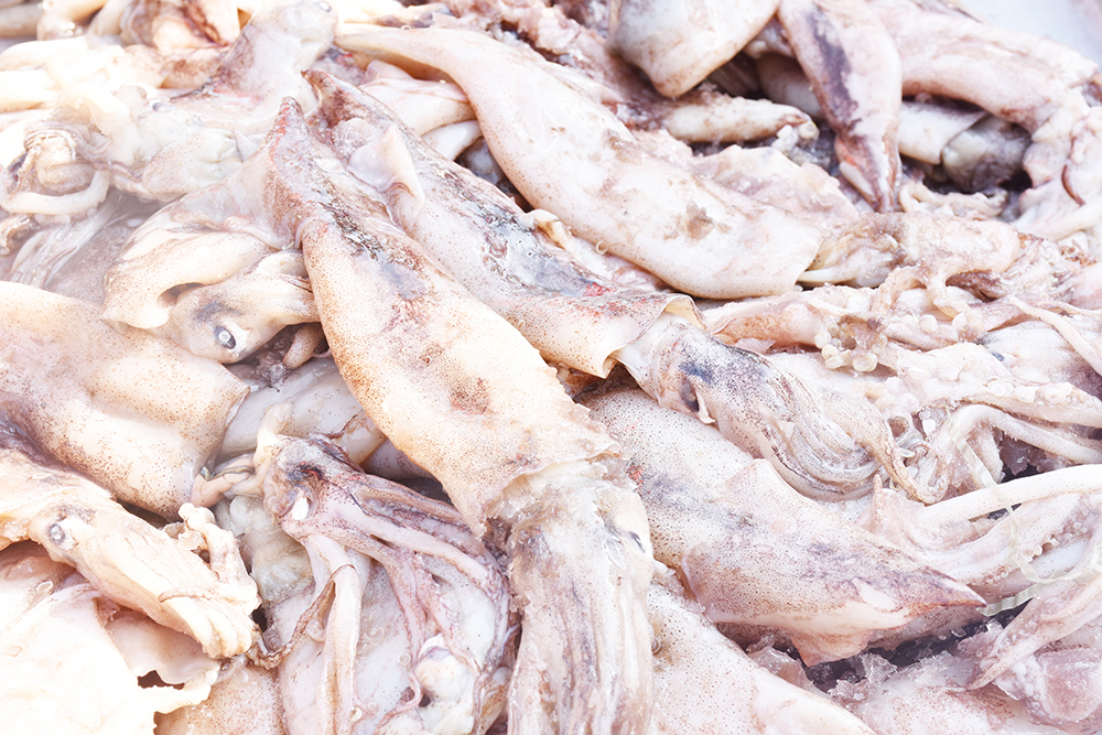 经典海鲜摄影图片,鲜活海鲜摄影技巧