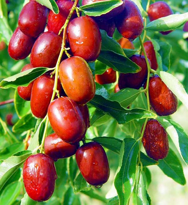 谈古论今讲的什么,谈古论晋