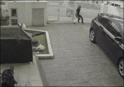 大姐惊人的手速图片,大姐手速