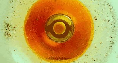 都20年了,你们怎么还这么屌?