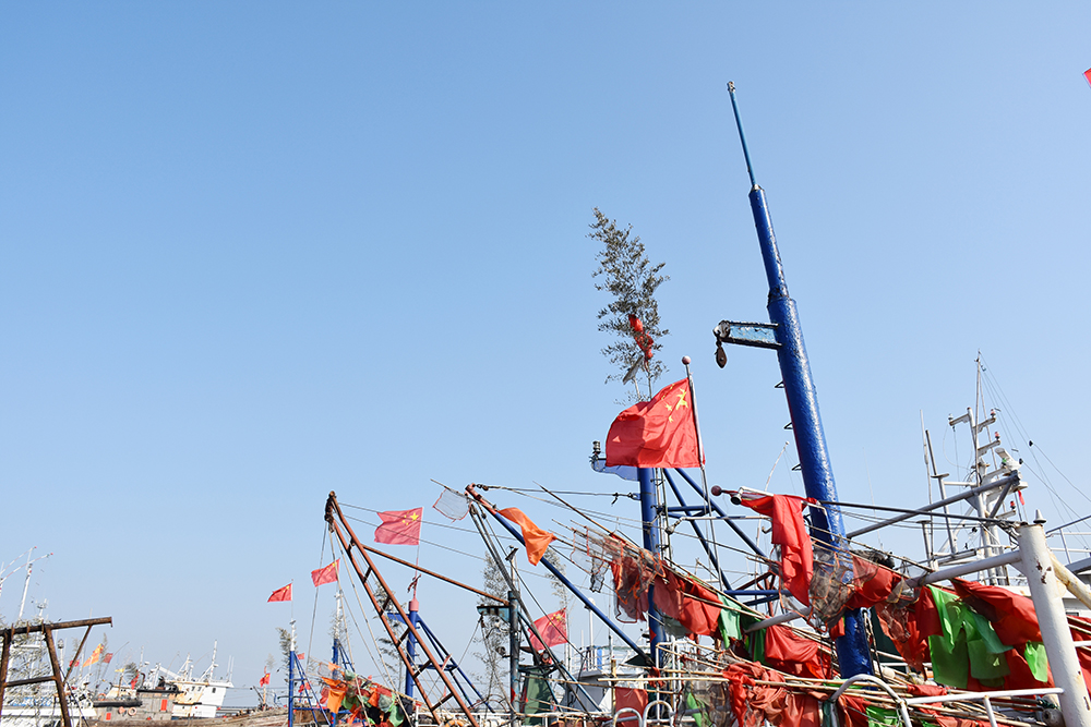 经典海鲜摄影图片,鲜活海鲜摄影技巧