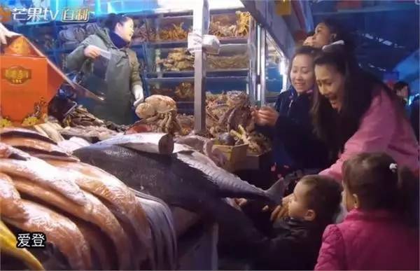 王诗龄晒奢侈品被吐槽,王诗龄奢侈