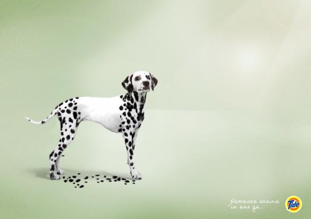 洗衣液广告模板创意视频,cctv1蓝月亮洗衣液广告