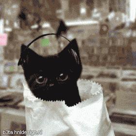 有斑显老祛斑要趁早,这几天脸上又想长斑怎么治呀