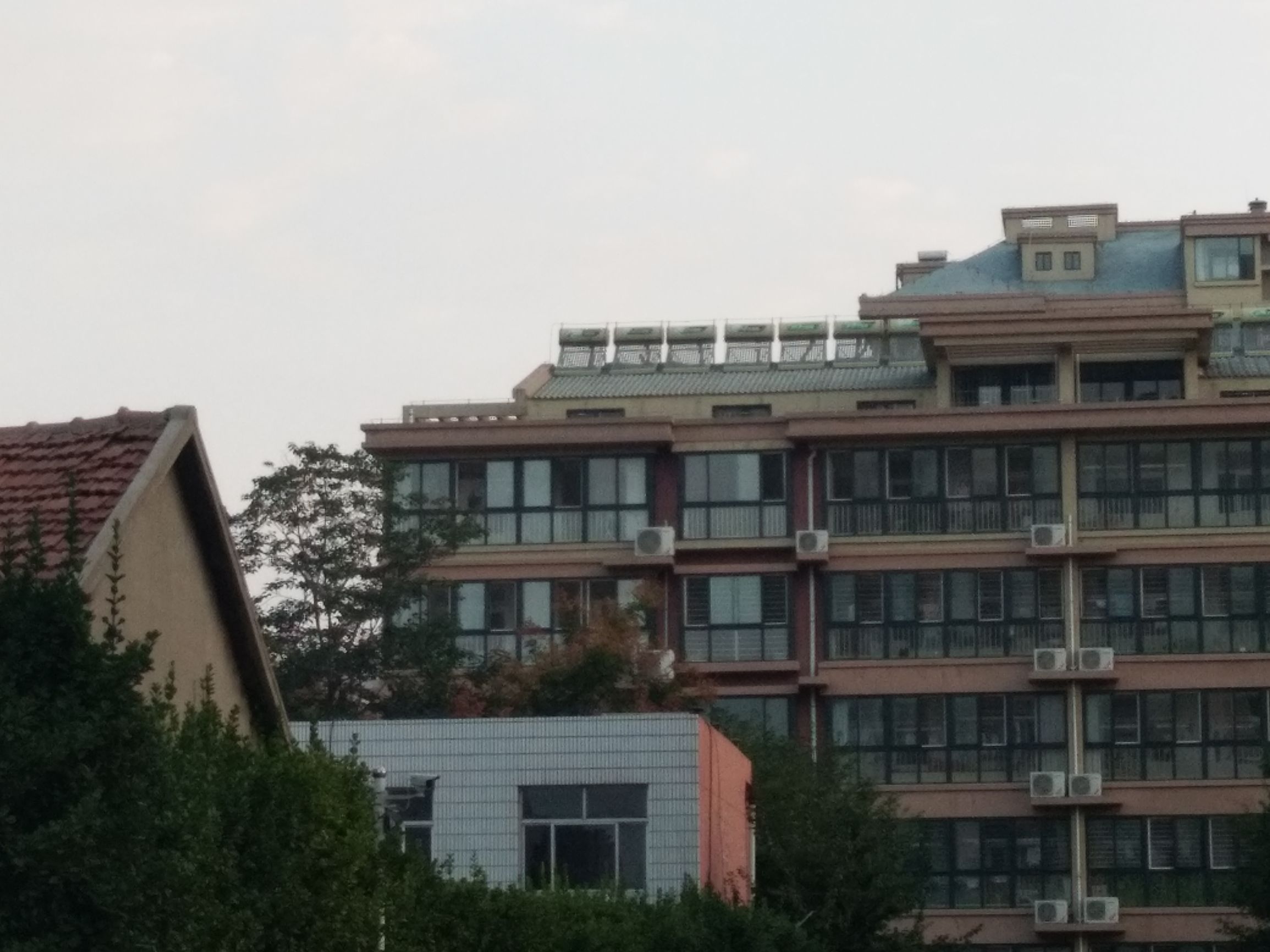 生命的特征包括四大特征,生命的特征政治