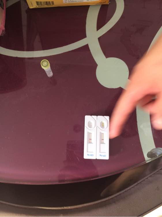 三个月大的哈士奇怎么天天拉稀,哈士奇幼犬拉稀又吐没精神怎么办