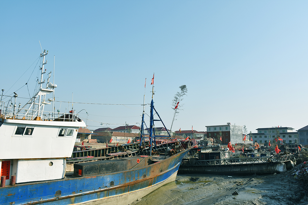 经典海鲜摄影图片,鲜活海鲜摄影技巧