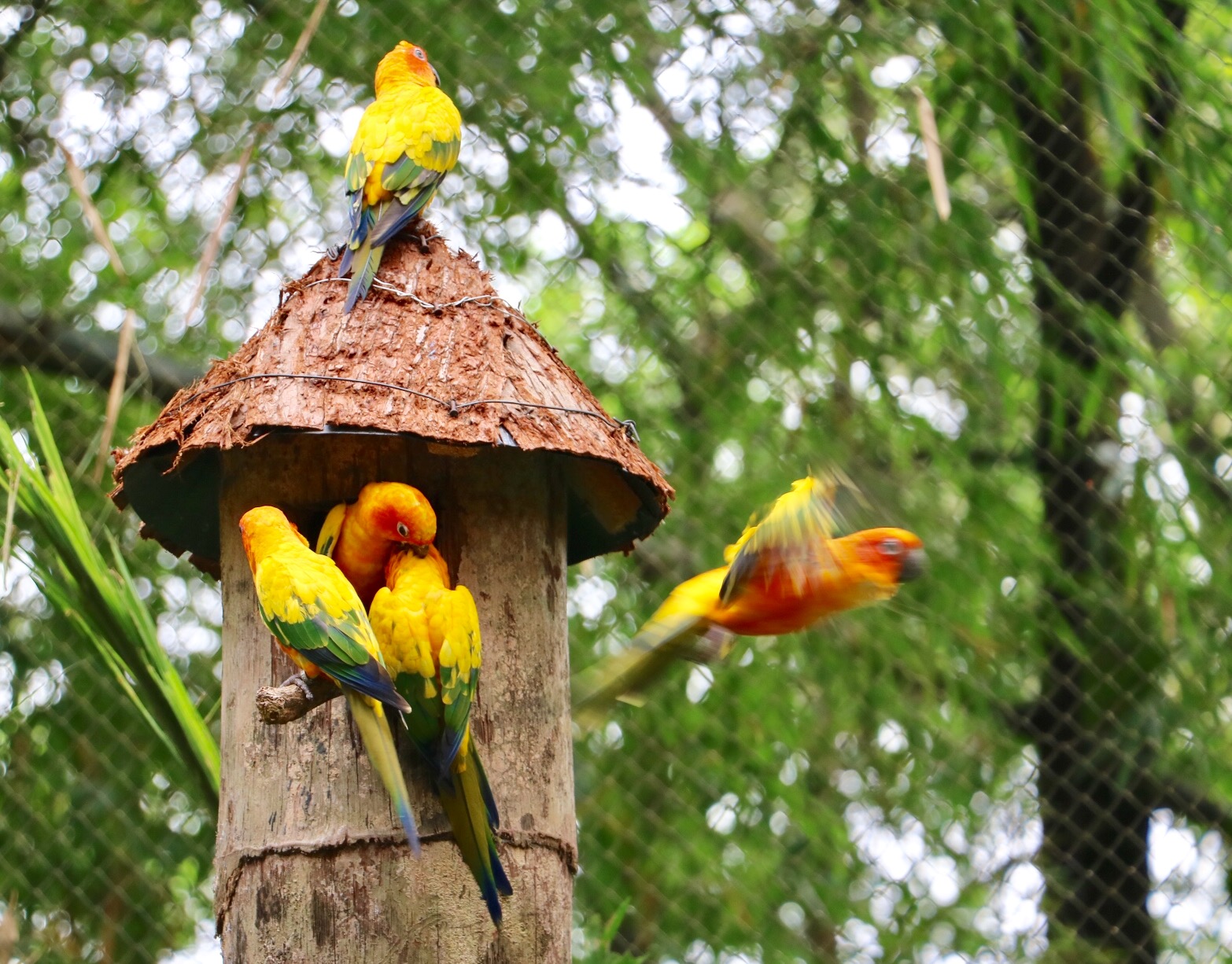 一月广州长隆野生动物园游玩攻略,长隆海洋王国不可错过