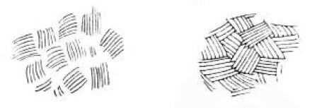 绘画基础教程新手入门,绘画基础教程人物小狗