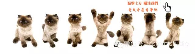 降灵69｜乡村恐怖之黄鳝*仇报**