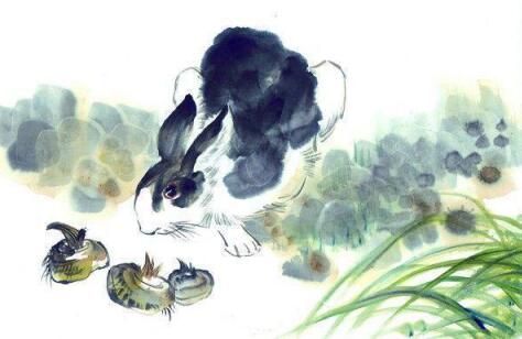 十二生肖蛇的命运和婚姻,生肖蛇跟哪几个生肖能成为好朋友