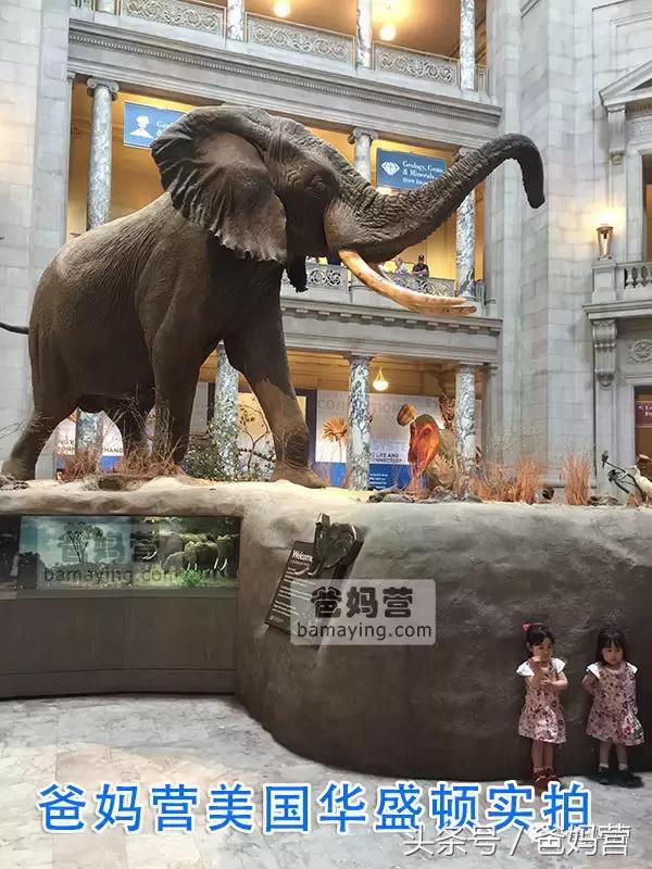 亲子游攻略最佳方案,亲子游必去的10个建议