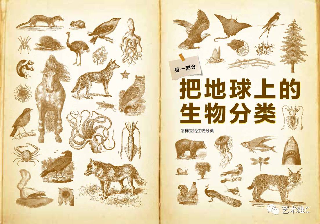 你猜猜，几百年前人们是怎么收藏的？