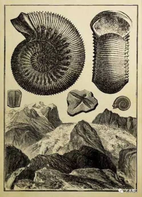 大英博物馆柜子,大英博物馆家具是什么