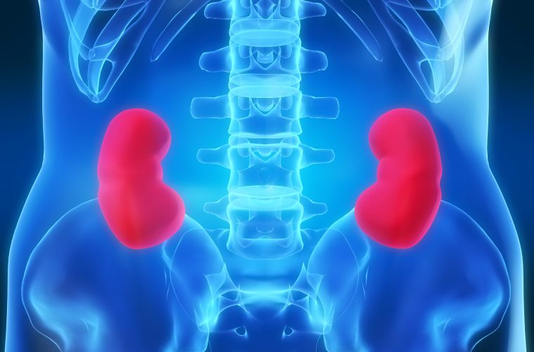 冬日养肾秘诀让你温暖又健康,男性养肾的10个秘诀