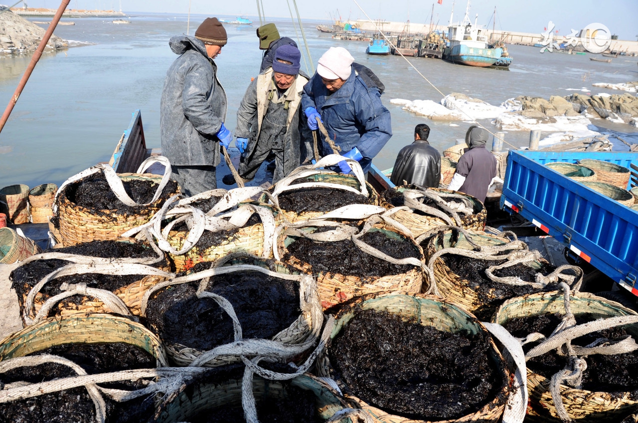 鑸屽皷涓婄殑濡備笢鍗佸ぇ缇庨,鑸屽皷涓婄殑濡備笢缇庨灏忓悆